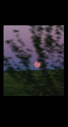 the moon is seen through some trees at dusk