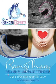 an advertisement for the gender expert's program featuring images of pregnant bellys and hands