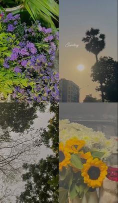 four different pictures with flowers and trees in the middle one has sunflowers on it