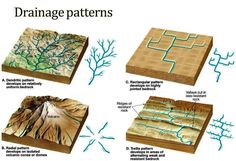 four different types of drainage patterns on a white background with blue arrows pointing to them