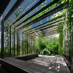 an outdoor covered walkway with lots of greenery on the sides and wooden planks