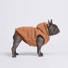 a small dog wearing a brown coat