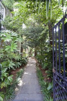 an iron gate leading to a garden with trees and plants on either side of it