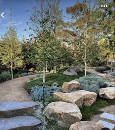 a garden with rocks and plants in it