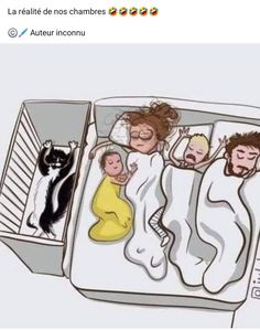 an image of people sleeping in bed with a cat on the other side of them