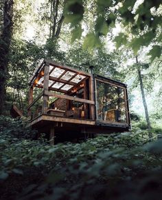 a small cabin in the woods surrounded by trees and bushes with people sitting on it