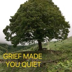 a large tree with the words gritf made you quiet on it's side