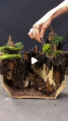 Artistuniversity 🔴 on Instagram: "This artist transforms nature’s beauty into mesmerizing miniature landscapes! 🌿 With weathered wood, delicate grasses, & other natural elements, each terrarium becomes a story of life, creativity, & sustainability—crafted with care from the earth’s gifts.

Artist 22904510835 (Döuyin)
Music @celestial_aeon_project"