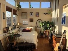 a bedroom with lots of plants in the window sill and a guitar on the bed