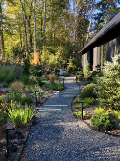 a gravel path leading to a house in the woods