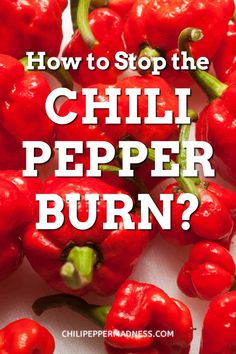 red peppers with the words how to stop the chilli pepper burn? on it