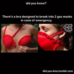 there's a bra designed to break into 2 gas masks in case of emergency