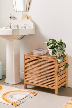 a bathroom with a sink, mirror and plant on the floor in front of it