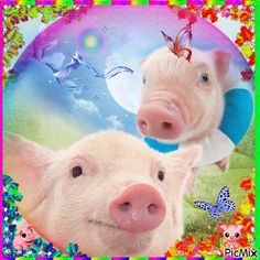 two pigs are looking at the camera in front of a colorful background with flowers and butterflies