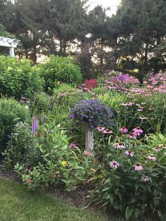 a garden filled with lots of purple and white flowers