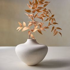 a white vase with a plant in it