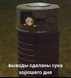 an animal in a trash can with the caption saying, i don't know what it is