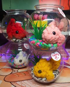 there are three fish in the bowl with rocks and plants inside it on the table