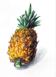 a drawing of a pineapple with green leaves on it's head and bottom