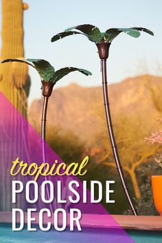 two palm trees in front of a pool with text that reads tropical poolside decor