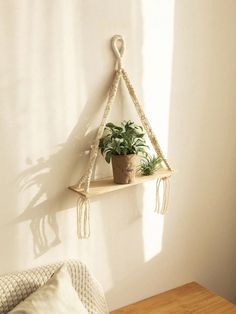 a potted plant sitting on top of a wooden shelf next to a white wall