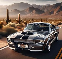 an old muscle car driving down the road in front of cactus and cacti