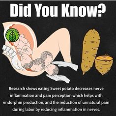 a poster with an image of a baby in the stomach and carrots next to it that says, did you know?