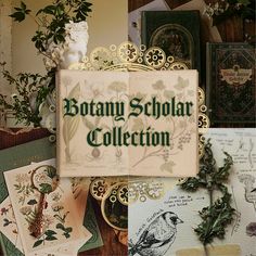 an assortment of cards and postcards with the words rotary scholar collection on them