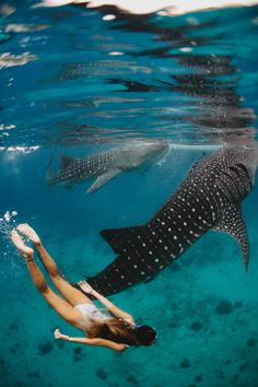 two people are swimming in the water next to a whale