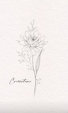 a drawing of a flower with the word creasanta written in black ink