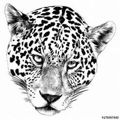 a black and white drawing of a leopard's head with its eyes closed, looking straight ahead