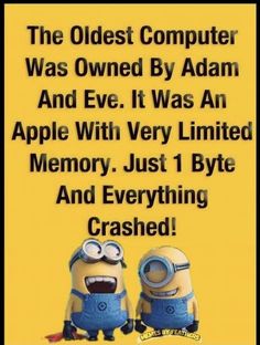 two minion characters with the caption'the oldest computer was owned by adam and eve it was an apple with very limited memory, just 1 bye and everything crashed