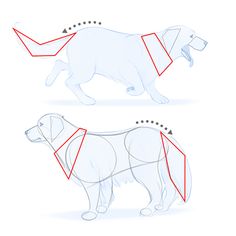 how to draw a dog step by step