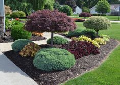 the landscaping is neatly trimmed and ready to be used in the yard or front yard