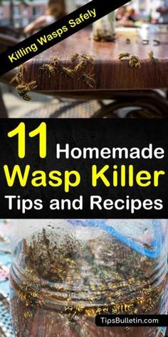 homemade wasp killer tips and recipes