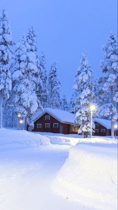 a cabin in the middle of a snowy forest at night with lights on and snow covered trees