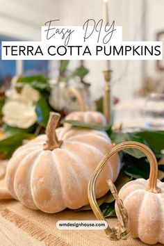 painted terra cotta pumpkin decor ideas. how to make terra cotta pumpkins. pottery barn terra cotta pumpkins Terra Cotta Pumpkins, Coastal Fall Decor Ideas, Pottery Barn Paint, Pottery Barn Fall, Pumpkin Pottery, Pottery Barn Pumpkin, Pottery Barn Diy, Coastal Fall, Diy Fall Decor