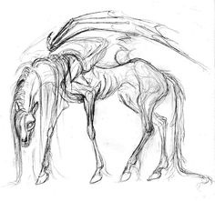 a drawing of a horse with long manes