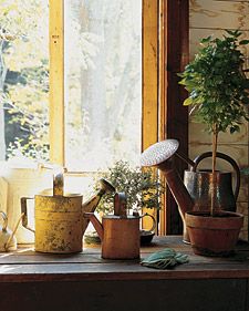 a window sill filled with potted plants and watering cans