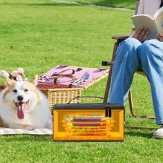 a dog laying in the grass next to a person reading a book and an orange radio