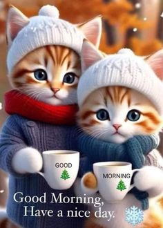 two cats wearing hats and sweaters holding coffee mugs with good morning have a nice day