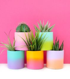 four different colored pots with plants in them on a white table against a pink wall