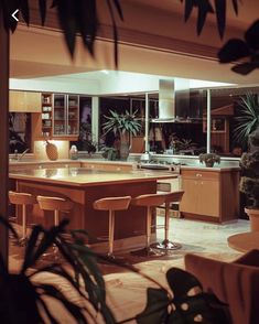 an open kitchen and dining room with lots of counter space in the center, surrounded by potted plants