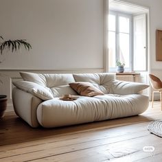 a white couch sitting on top of a wooden floor next to a potted plant