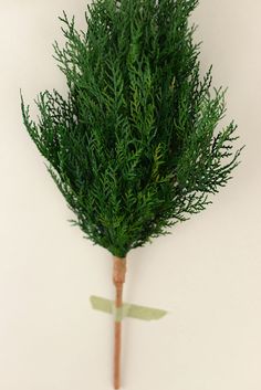 there is a small green bush on top of a wooden stick with a knife sticking out of it