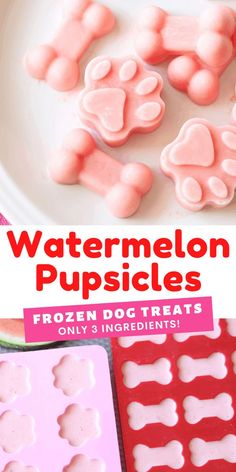 watermelon puppies frozen dog treats on a white plate with pink and red ingredients