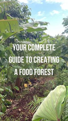 the words your complete guide to creating a food forest