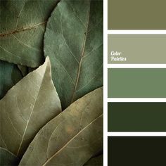 some green leaves are shown in this color palette