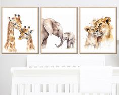 three paintings of giraffes, an elephant and a lion on a white wall