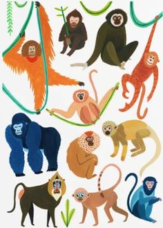 an image of monkeys and other animals on a white background